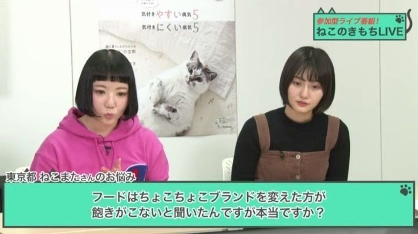 ねこのフードを変えるのは 最終手段 頻繁に変えるべきではない理由は ねこのきもちweb Magazine