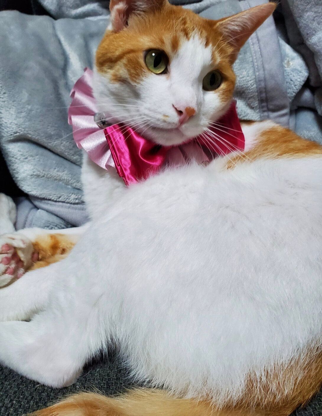 誕生日をお祝いしてもらうサスケくん