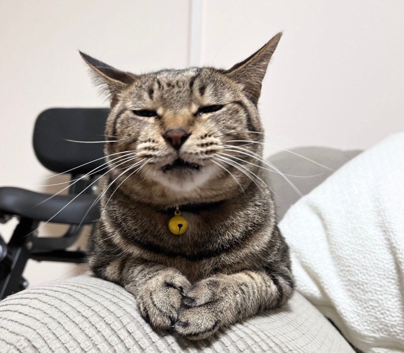 表情の振り幅がスゴいふれあくん