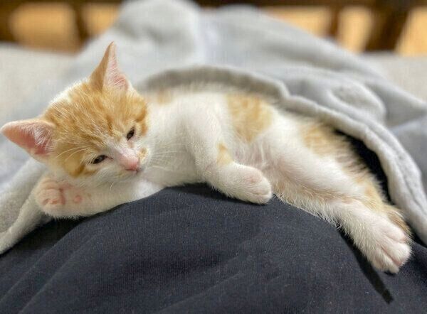 くつろぐうにくん