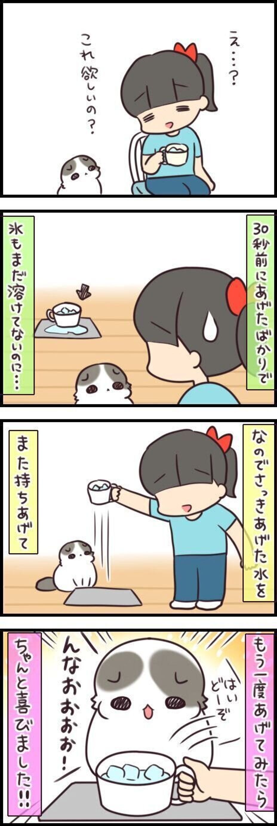 喜びの雄叫びもあがる 新鮮味をリピートさせる裏ワザ 連載 もふもふスコたん 240 ねこのきもちweb Magazine 喜びの雄叫びもあがる 新鮮味をリピートさせる裏ワザ 連載 もふもふスコたん 240 ねこのきもちweb Magazine