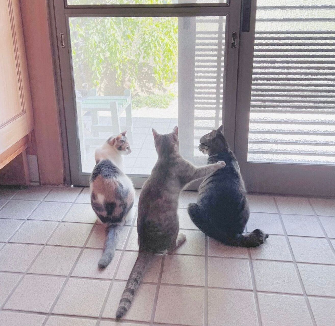 仲良く並ぶこはるちゃん、こゆびちゃん、えるくん