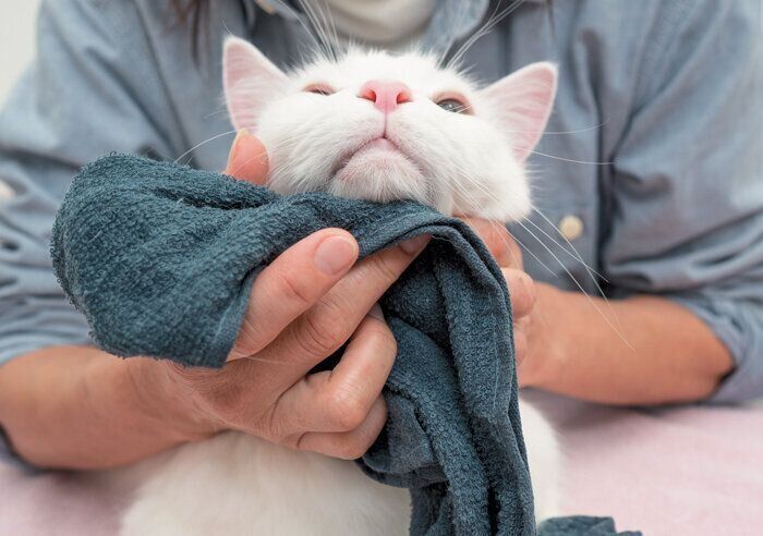 下に向かってゆっくりと