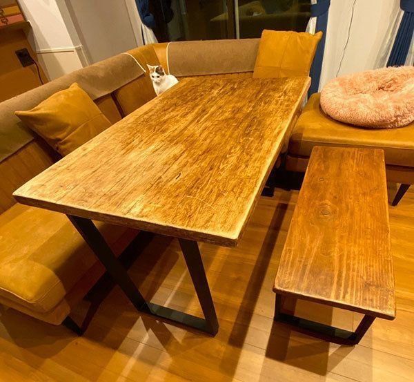 ソファでくつろぐカンナちゃん