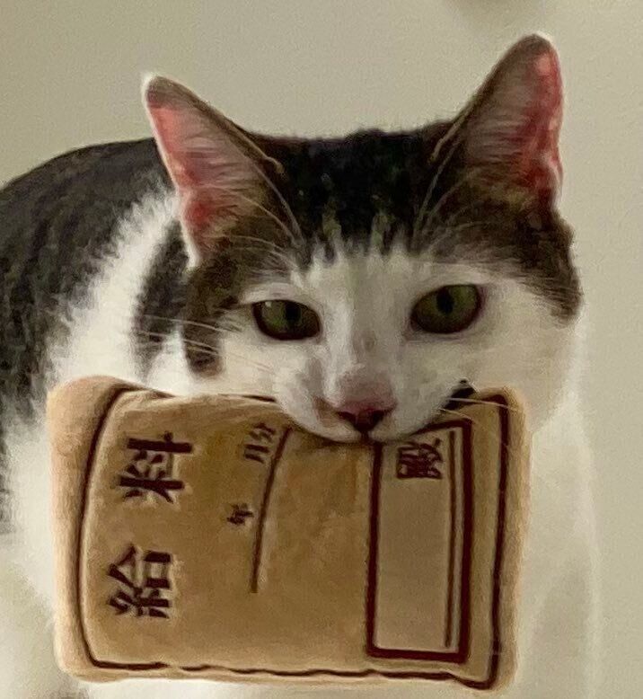 成長したセロイくん