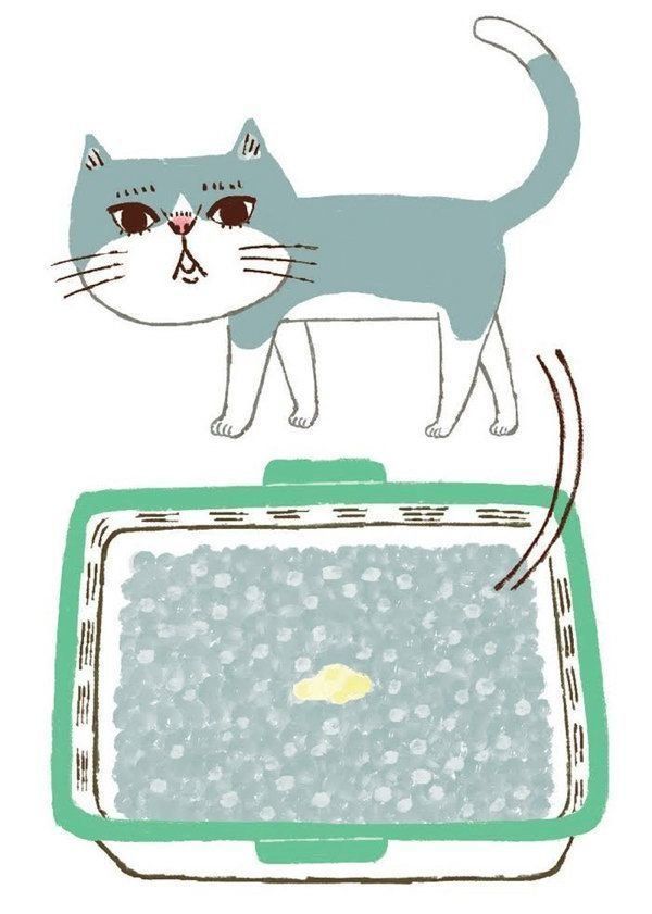 ○○がある・ないのサインでわかる猫の病気