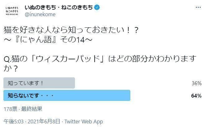 ウィスカーパッドに関するアンケート
