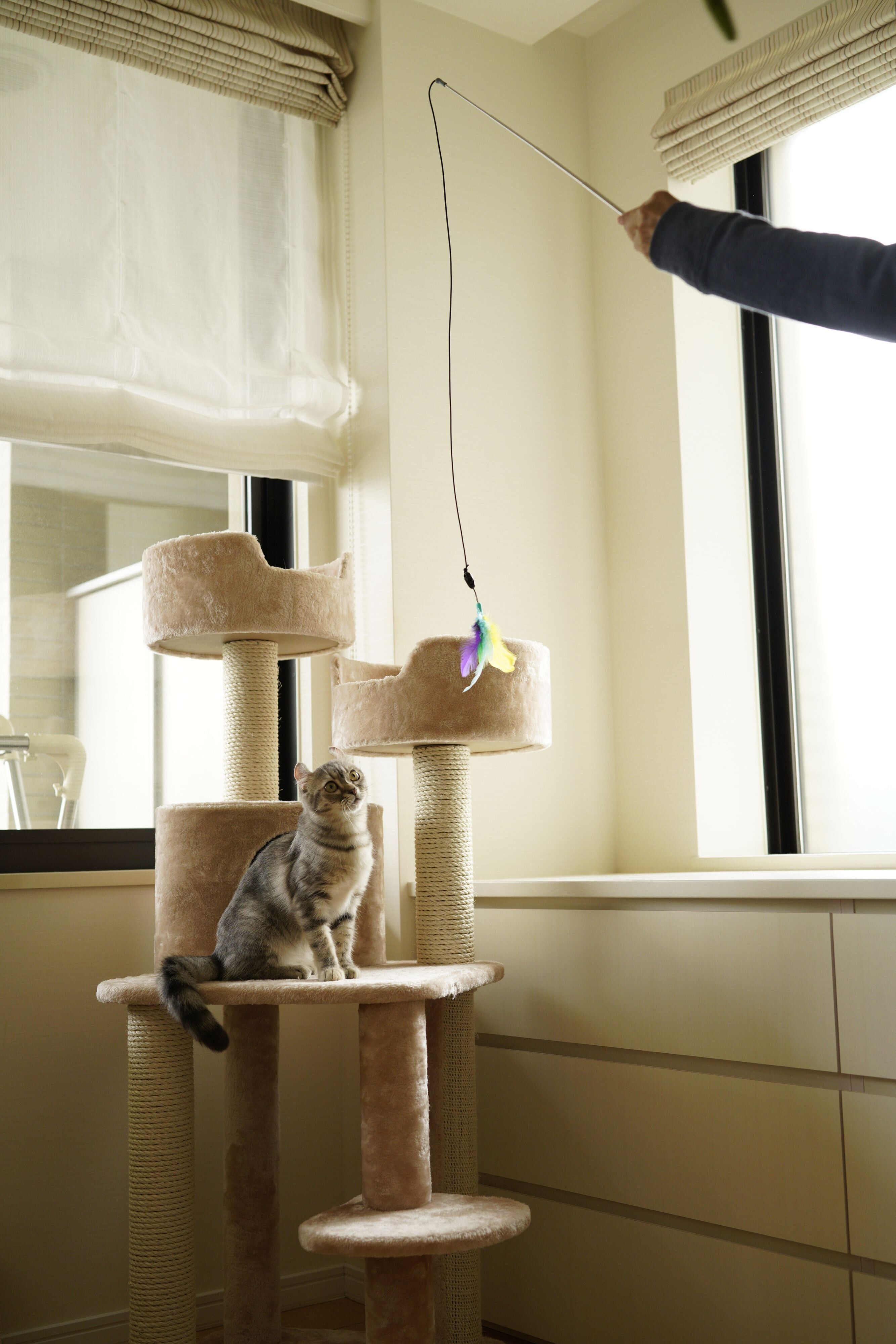 撮影／石原さくら