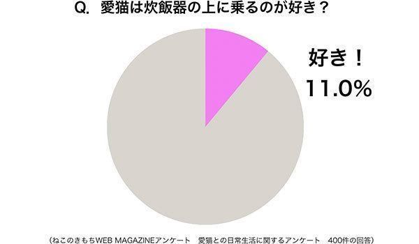 グラフ：愛猫は炊飯器の上に乗るのが好き？