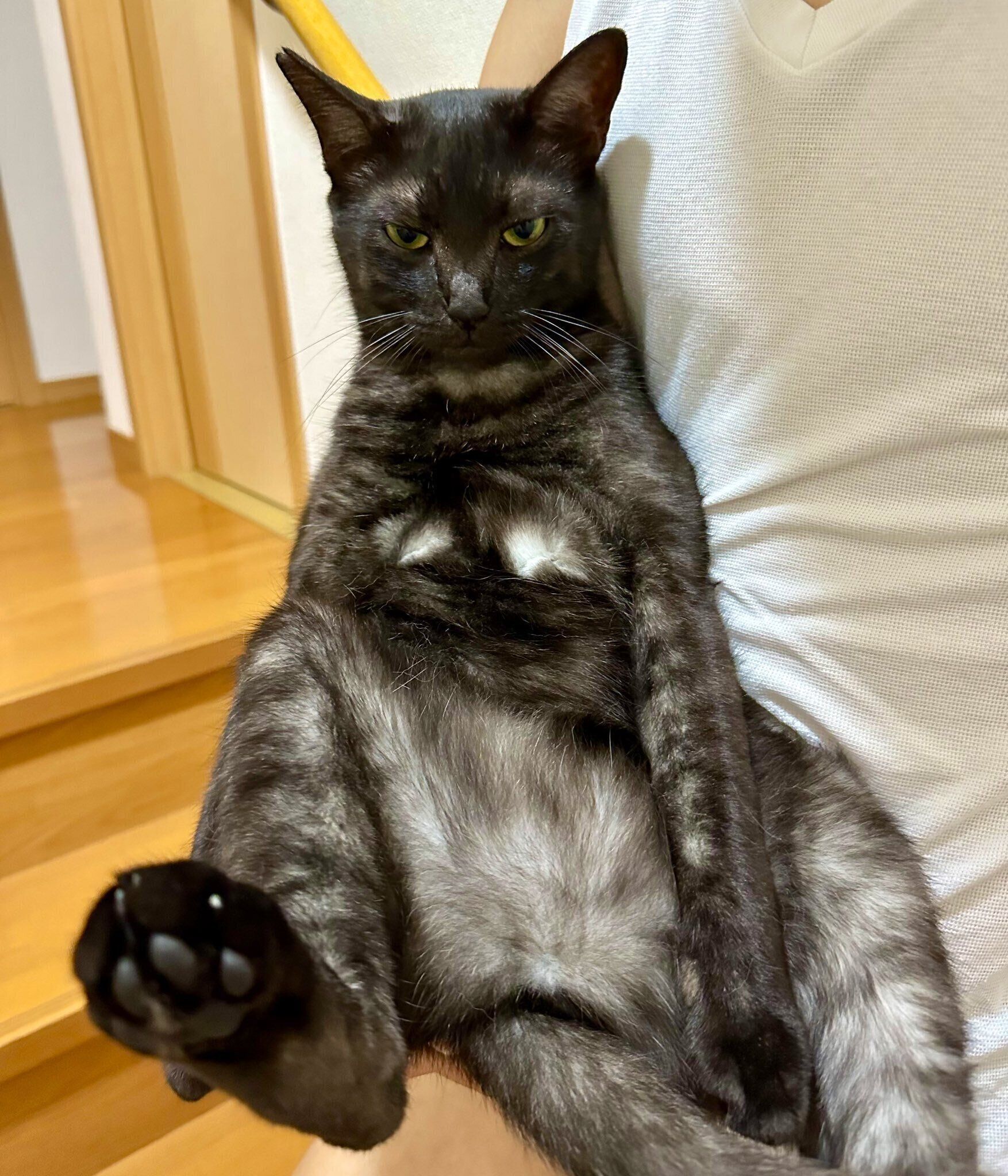 ムスッとした表情をする虎くん