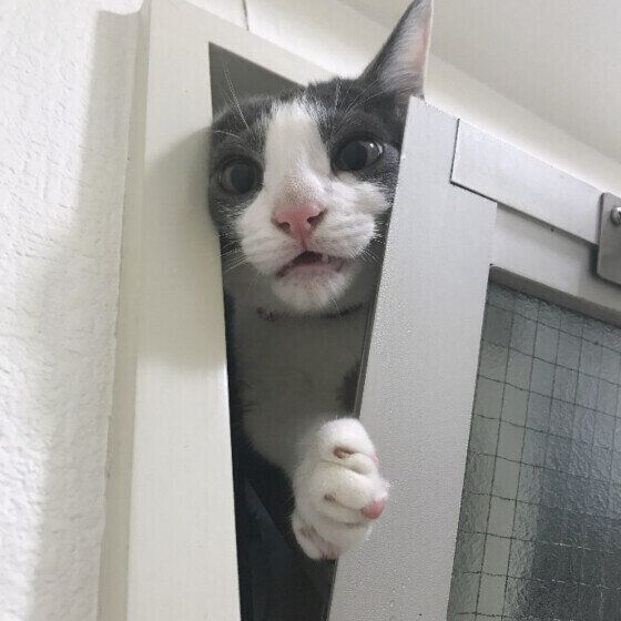 脱走を試みるクランくん