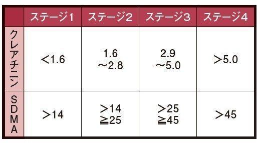 画像／ねこのきもち2019年10月号『猫の病気、そこが知りたい！』