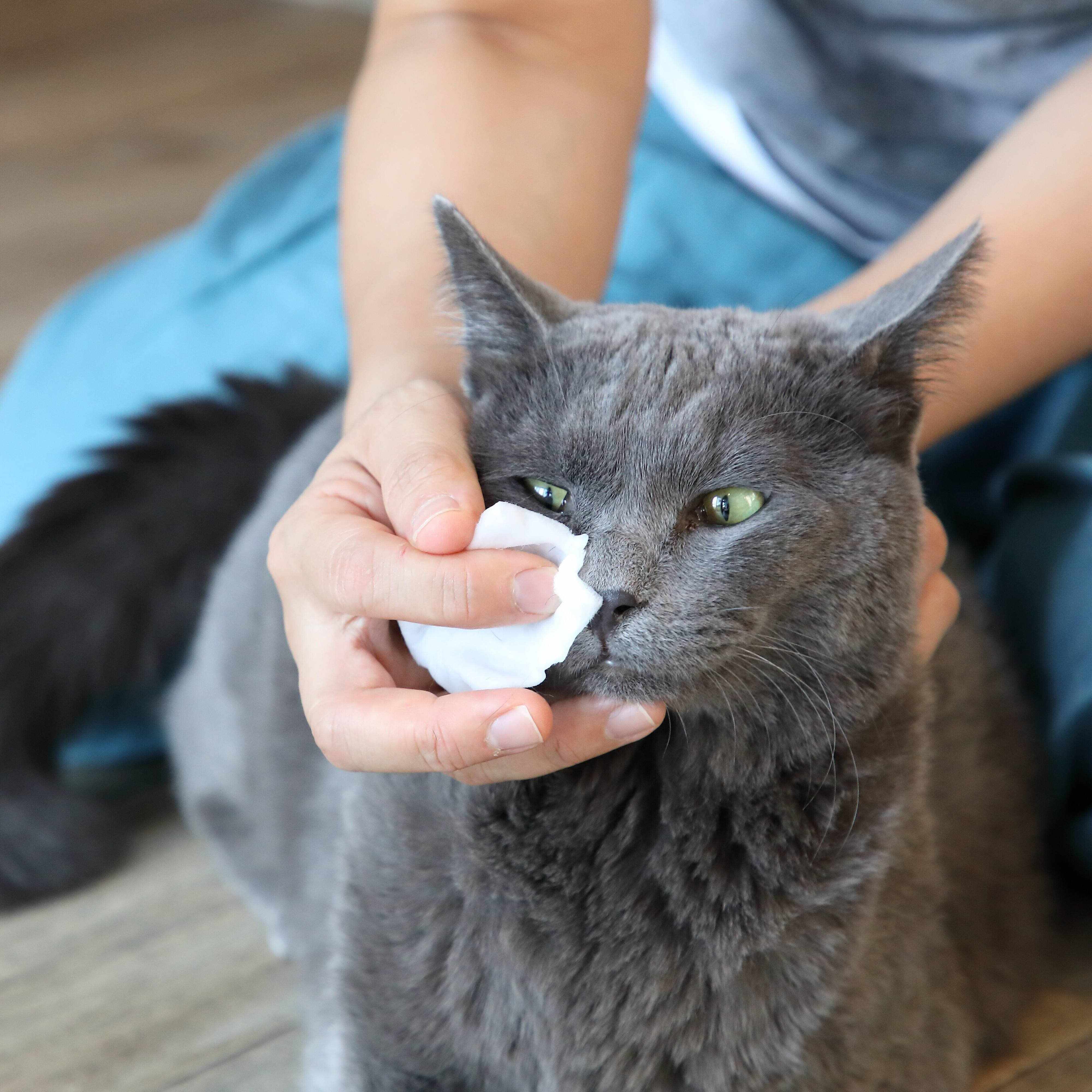 撮影／尾﨑たまき