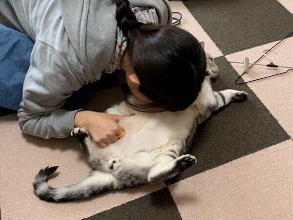 サスケくんのお腹に顔を埋める娘さん