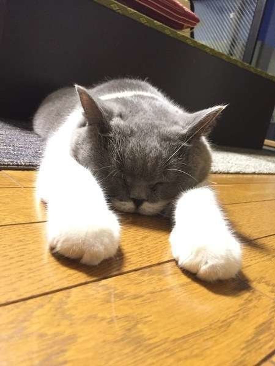 9eg1gzftxgupam 9eg1gzftxgupam