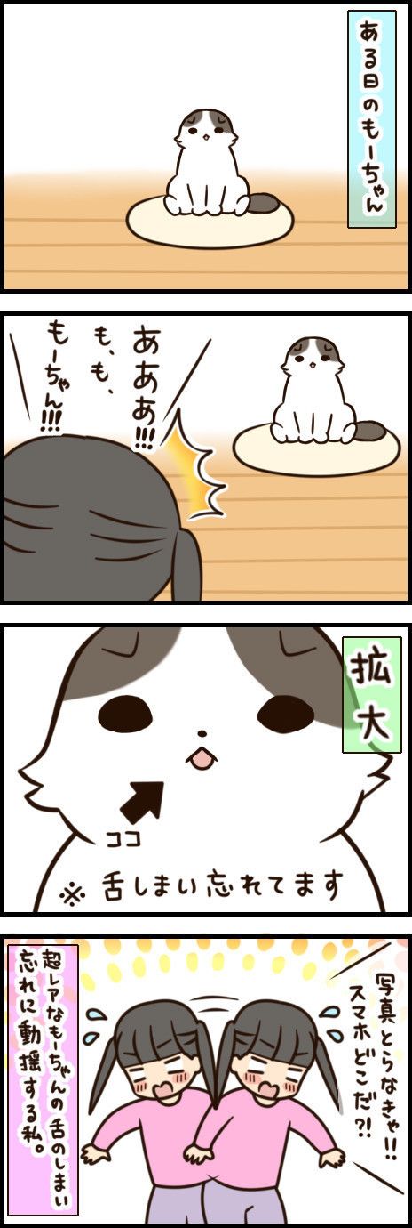 「もふもふスコたん」45話目