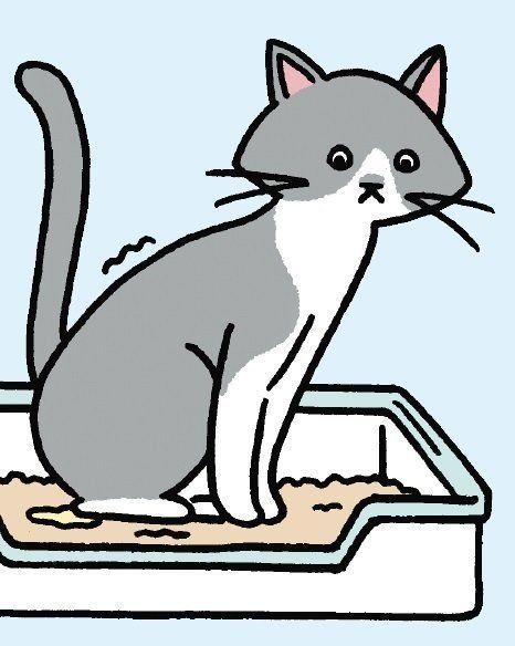 イラスト／こさかいずみ