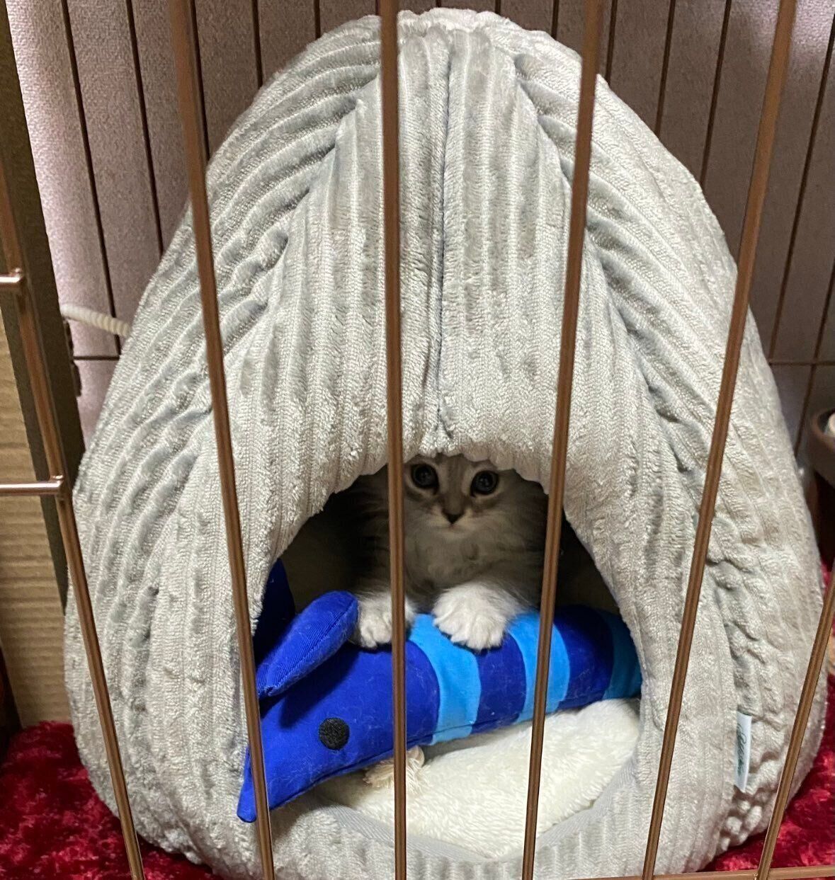 生後3カ月頃のすぴくん