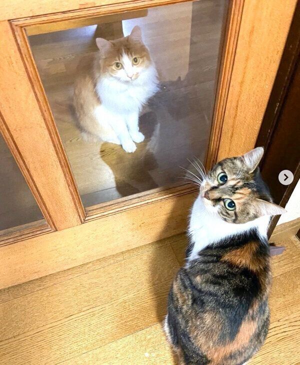 のぶおちゃんと妙子ちゃん