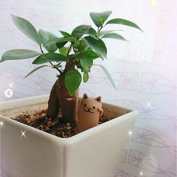 セリアの猫グッズ