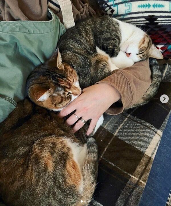 眠る絃くん、紬ちゃん