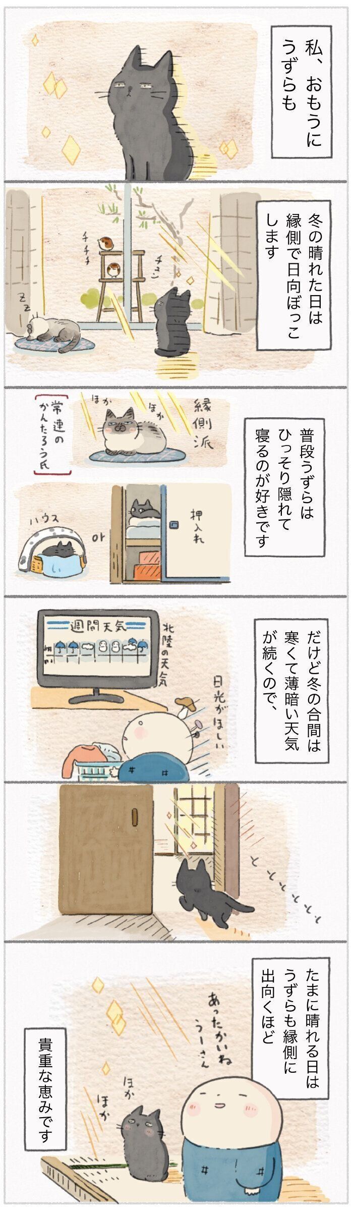 「ねこ連れ草」166話め