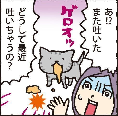 イラスト／藤井昌子