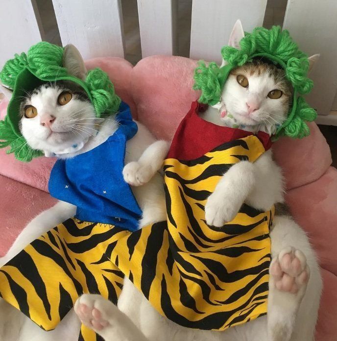 みつよつちゃんの節分