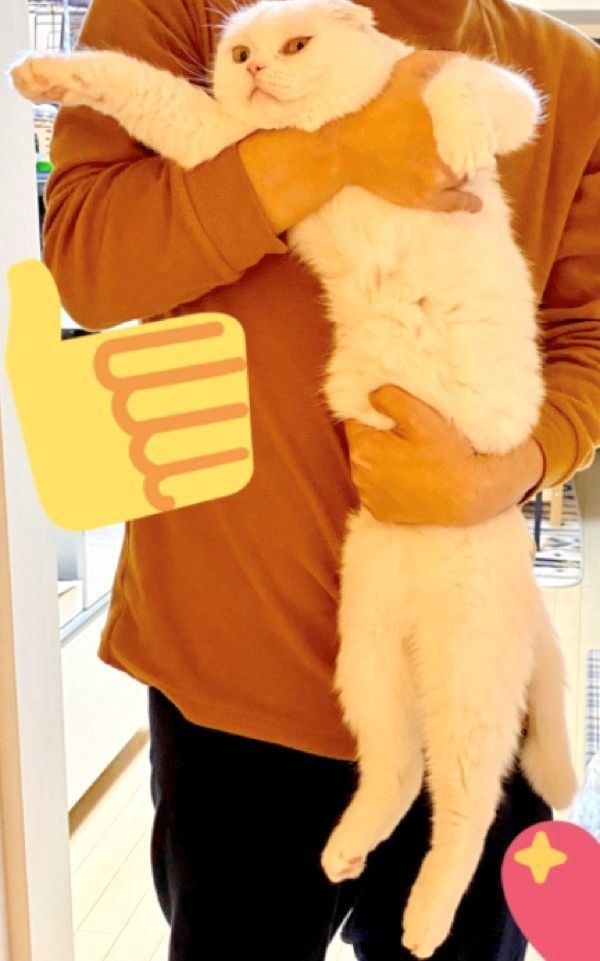 抱っこされるむくちゃん