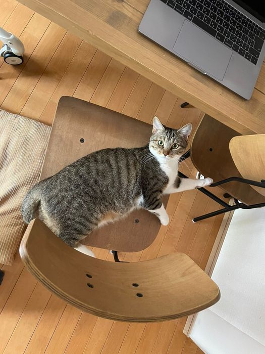 イスの上のノアちゃん