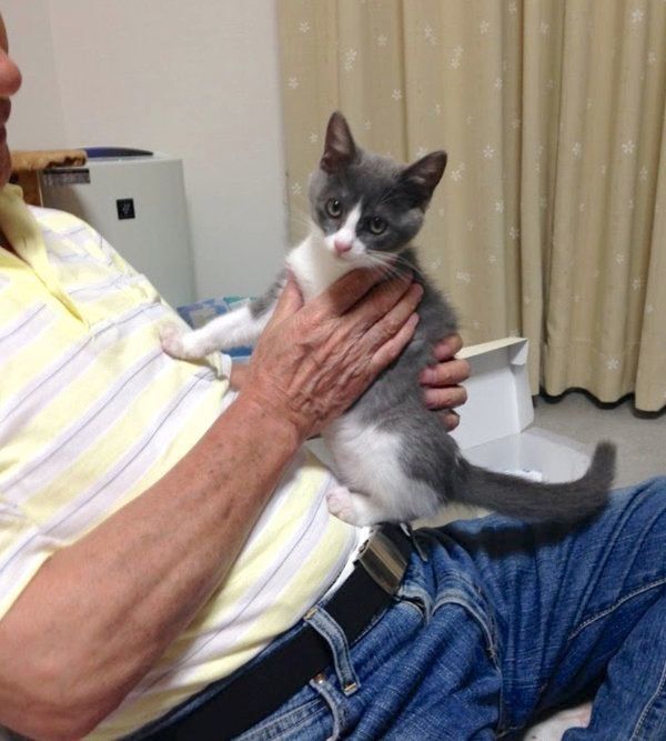 子猫時代のももちゃん