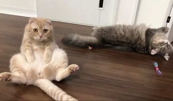 金ちゃんとそうちゃん