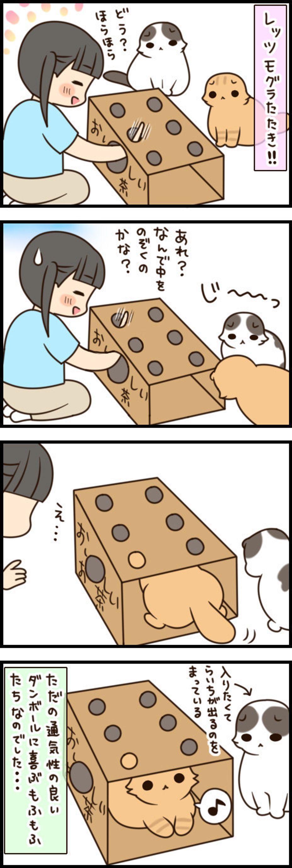 猫を虜にすると話題の 猫のもぐらたたき を作ってみた結果 もふもふスコたん Vol 27 ねこのきもちweb Magazine 猫を虜にすると話題の 猫のもぐらたたき を作ってみた結果 もふもふスコたん Vol 27 ねこのきもちweb Magazine