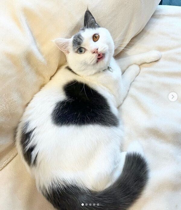 くつろぐトリュフくん