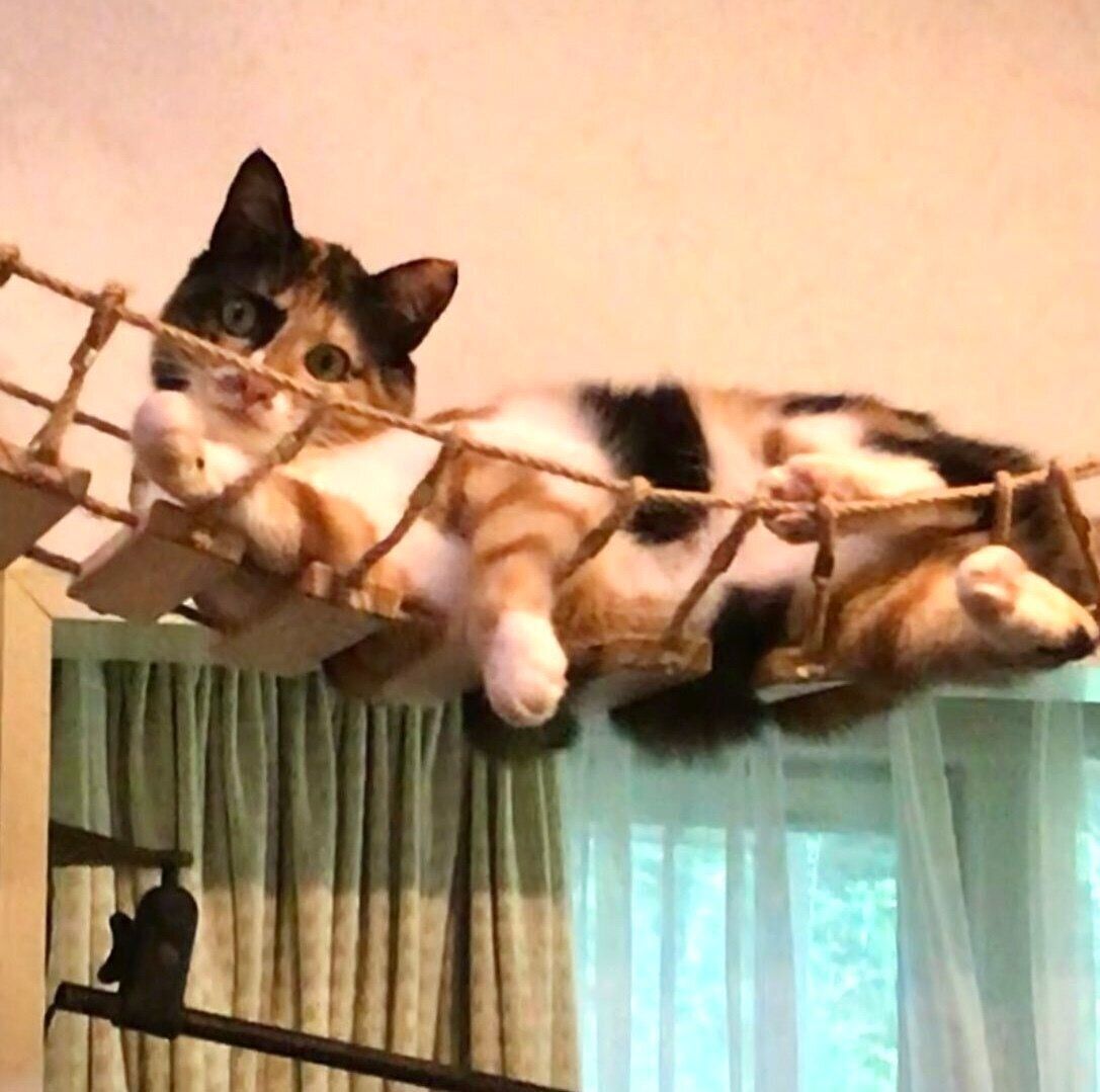 リラックスする栗ちゃん