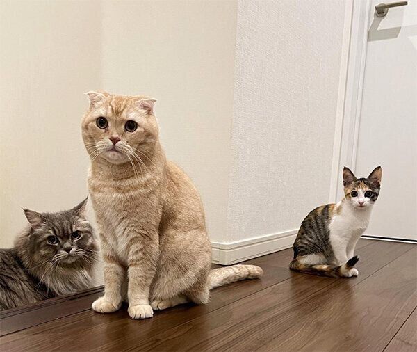 蒼太くん、金太くん、すずちゃん