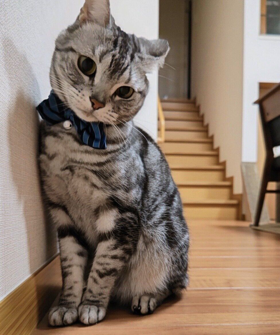 成長した虎太くん