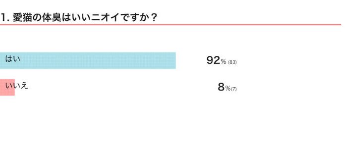 愛猫の体臭はいいニオイですか?