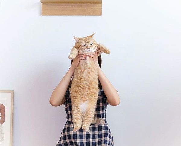 抱っこされるプリンちゃん