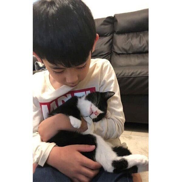 家族になって1週間が経過したころのぽんずちゃん