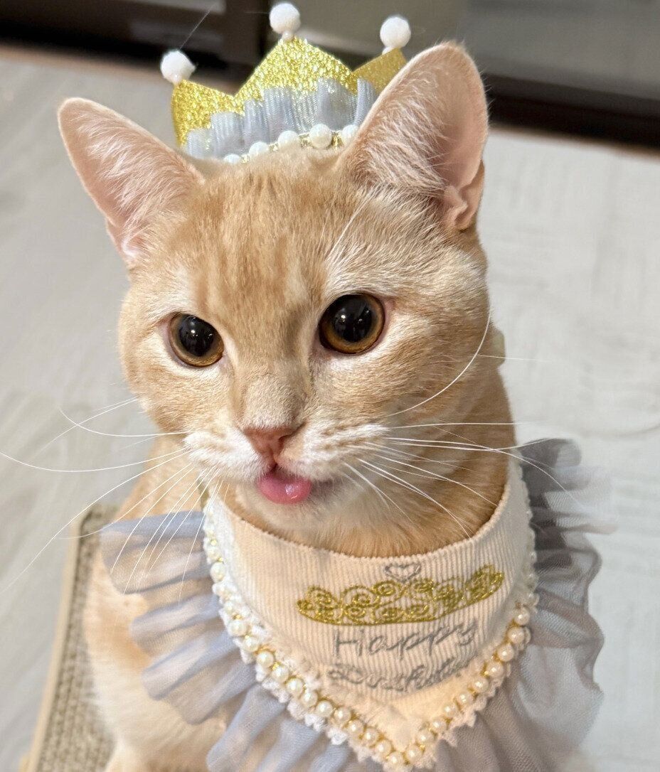 1才になったミクくん