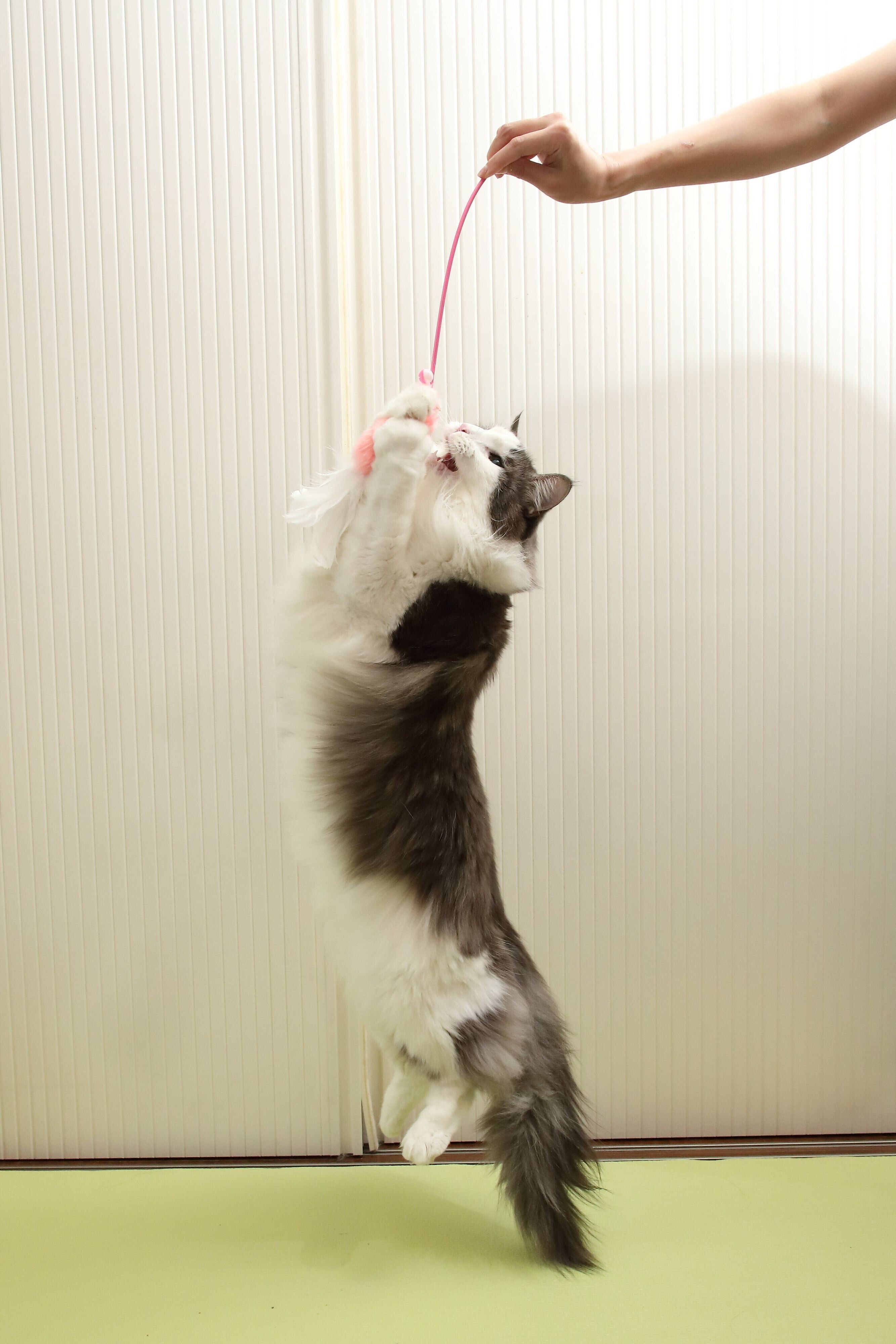 撮影／尾﨑たまき