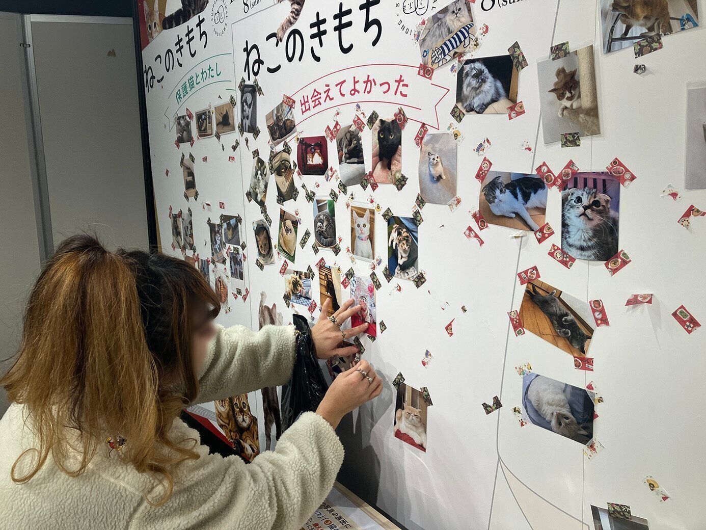 「前回も来ました！」と言ってくださったリピーターの方も、また新たな愛猫の写真をお披露目くださいました！