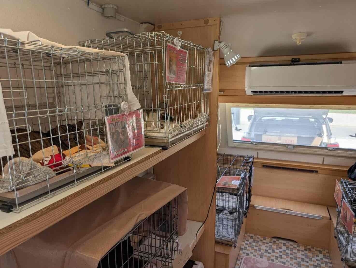 車内は冷暖房完備で、猫の脱走防止のため二重扉になっている