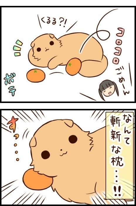 「もふもふスコたん」15話