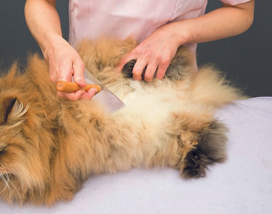 撮影／中川文作