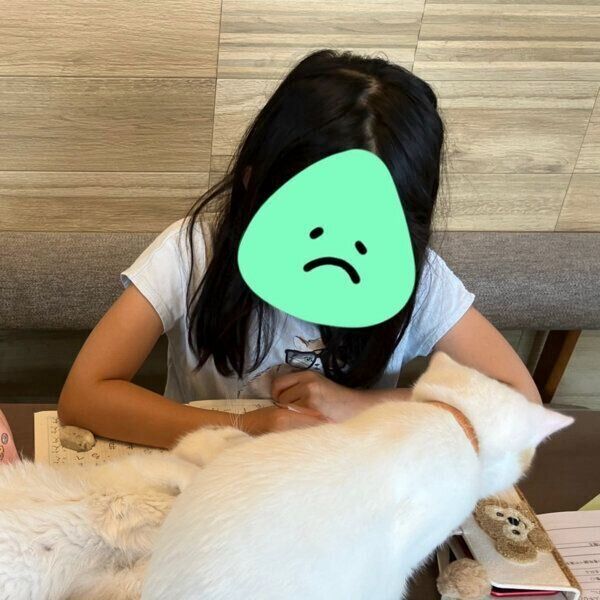 宿題をする娘さんに興味津々のひるねくん、こんぶちゃん