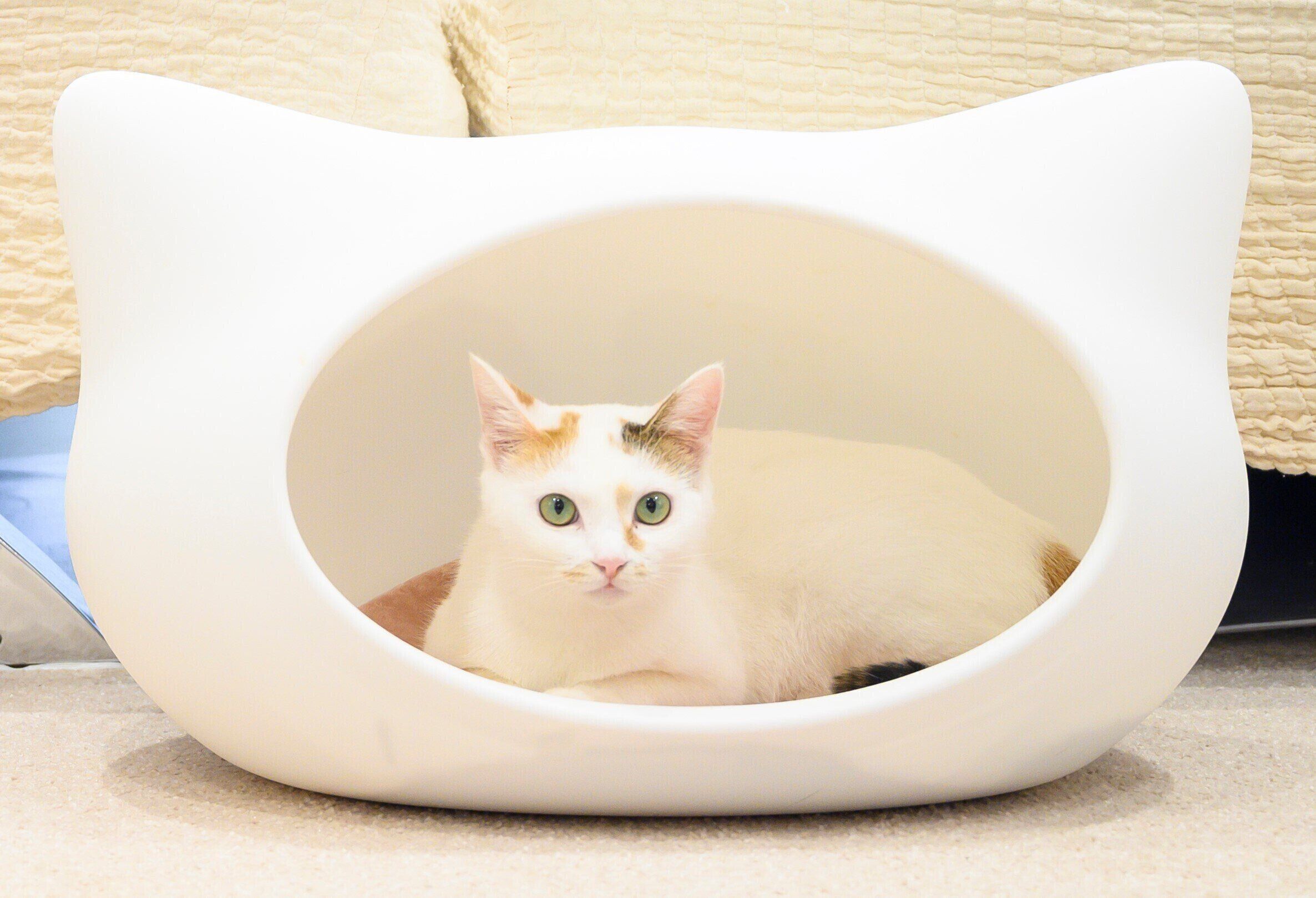 撮影／中川文作