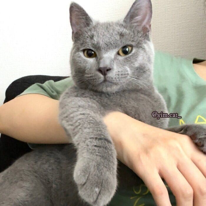 抱っこされてくつろぐイムくん