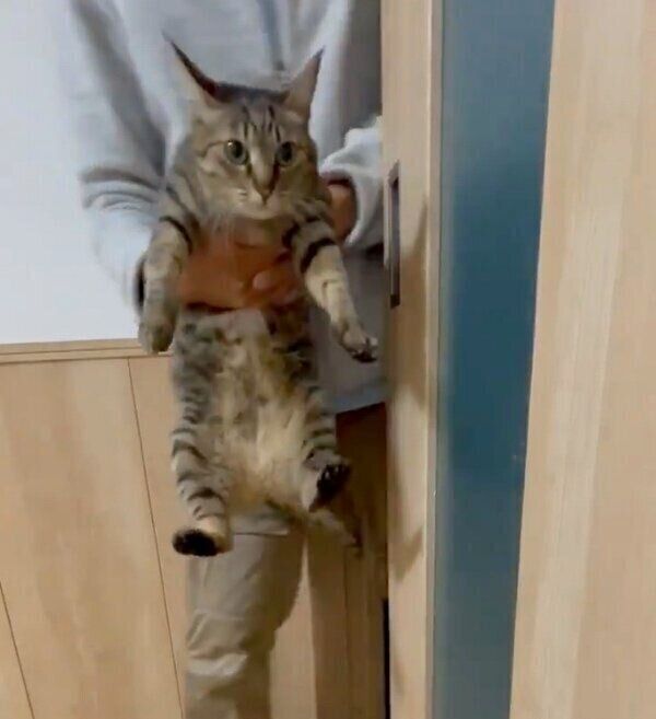 施術室から追い出されてしまった小豆ちゃん